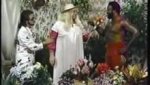Adrian Adonis Flower Shop with Junkyard Dog - video dailymotion