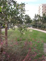 20201228_144600 (Medium).jpg