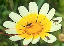 20230317_113457.jpg 20230317_113457.jpg