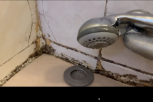 סיליקון.png