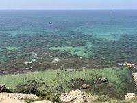 IMG_1968.jpeg