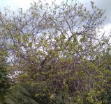 IMG_20210116_135314.jpg