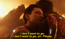 spiderman 002.gif spiderman 002.gif