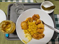 צולם היום.jpg