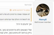 __צילום מסך_11-5-2024_17032_www.tapuz.co.il.jpeg __צילום מסך_11-5-2024_17032_www.tapuz.co.il.jpeg