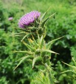 WhatsApp Image 2025-04-04 at 12.48.34.jpeg