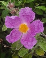 WhatsApp Image 2025-04-04 at 12.48.35.jpeg