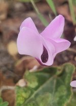 WhatsApp Image 2025-04-04 at 13.17.35 (1).jpeg