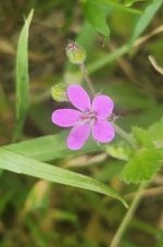 WhatsApp Image 2025-04-04 at 13.17.37 (1).jpeg