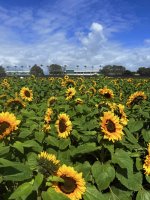 IMG_3885.jpeg IMG_3885.jpeg