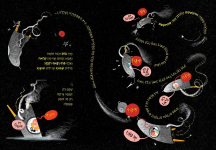 1747330785404.png 1747330785404.png