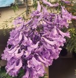 WhatsApp Image 2025-05-19 at 13.21.27.jpeg