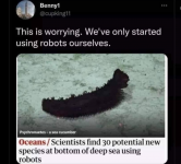 1748805729208.png 1748805729208.png