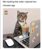 1748805829903.png 1748805829903.png