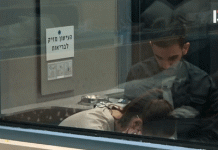 בסוף מי מנצח הבריון.gif