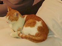 d12ef15b-7017-403e-8310-dfccc8c5a334 (1).jpg