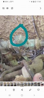 Screenshot_20250619-170515_Gallery.jpg Screenshot_20250619-170515_Gallery.jpg