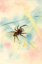 ChatGPT Image Jun 27, 2025, 07_53_33 PM.jpg