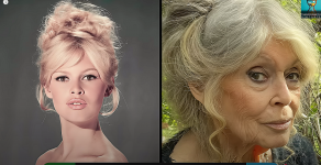 Screenshot 2025-07-15 15.42.07.png