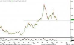 AVGD IT Equity (Av-Gad Holdings  2025-09-09 11-06-22.jpg