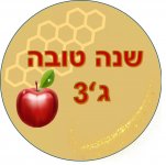 שנה טובה ג3-חני היצירתית.jpg