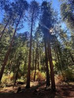 thumbnail_IMG_8434.jpg thumbnail_IMG_8434.jpg