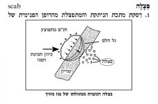 1762854927676.jpeg 1762854927676.jpeg