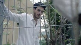 שימי אלבז.jpg