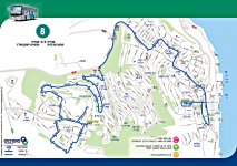 קו 8 טבריה.jpg