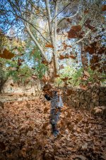 סתיו ישראלי.jpg