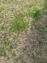 IMG_20210212_111641.jpg
