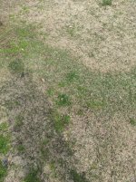 IMG_20210212_111630.jpg