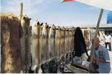 Screenshot 2025-12-23 07.09.53.png