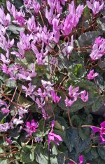 20260220_113859 - Copy.jpg