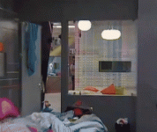 ארז ליצן.gif