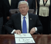 donald trump kat GIF.gif