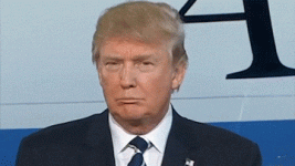 cnn trump GIF.gif