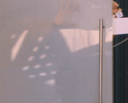 אורן להב.gif