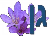 גן סתוונית10.jpg