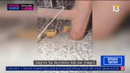 צילום מסך (348497).png