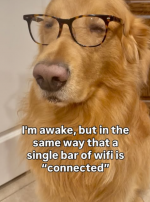 1785701180256.png