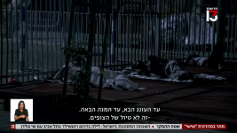 צילום מסך (358067).png