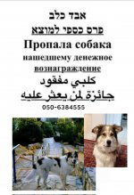 96020927-2ABF-4D3D-A1E1-9EC58D6B9D76.jpeg
