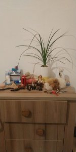 WhatsApp Image 2021-03-09 at 8.52.00 PM.jpeg