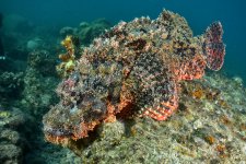 DSC_7536_01.jpg