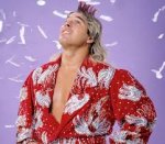 Missed Wrestling Opportunities: Terry 'The Red Rooster' Taylor in ...