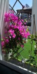 IMG-20200801-WA0005.jpg