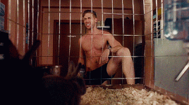 Dustin Milligan 07.gif Dustin Milligan 07.gif