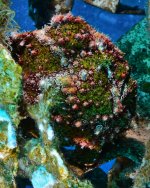 DSC_7675_01.jpg