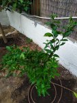 IMG_20200911_175658.jpg